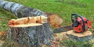 How Our Tree Care Process Works  in  Huntsville, TX