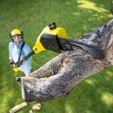 Huntsville, TX Tree Services Company